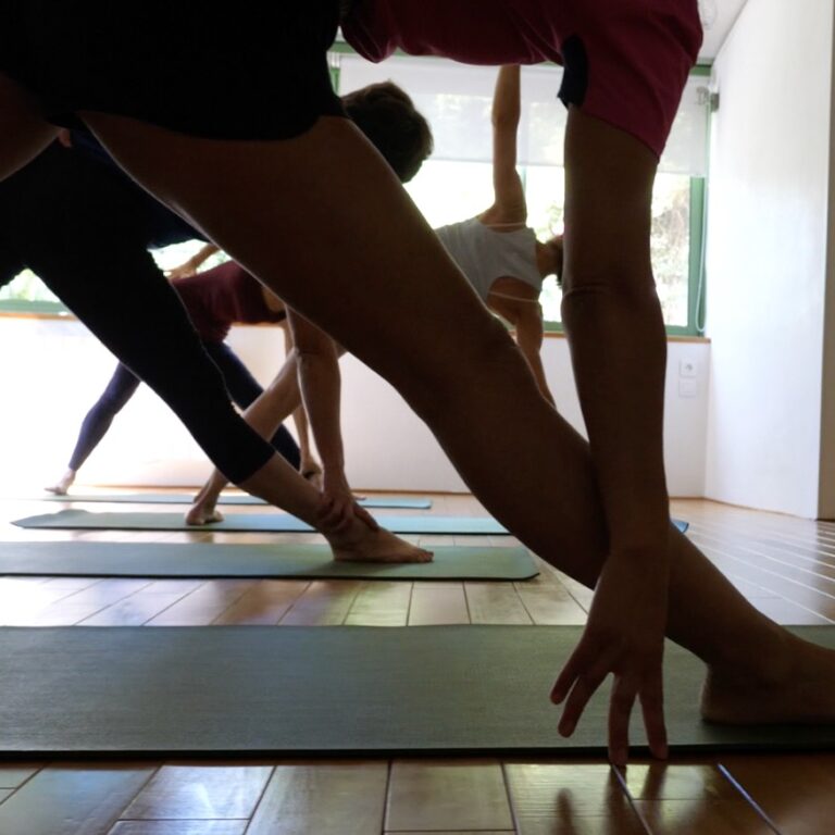 11 u trikonasana d 2