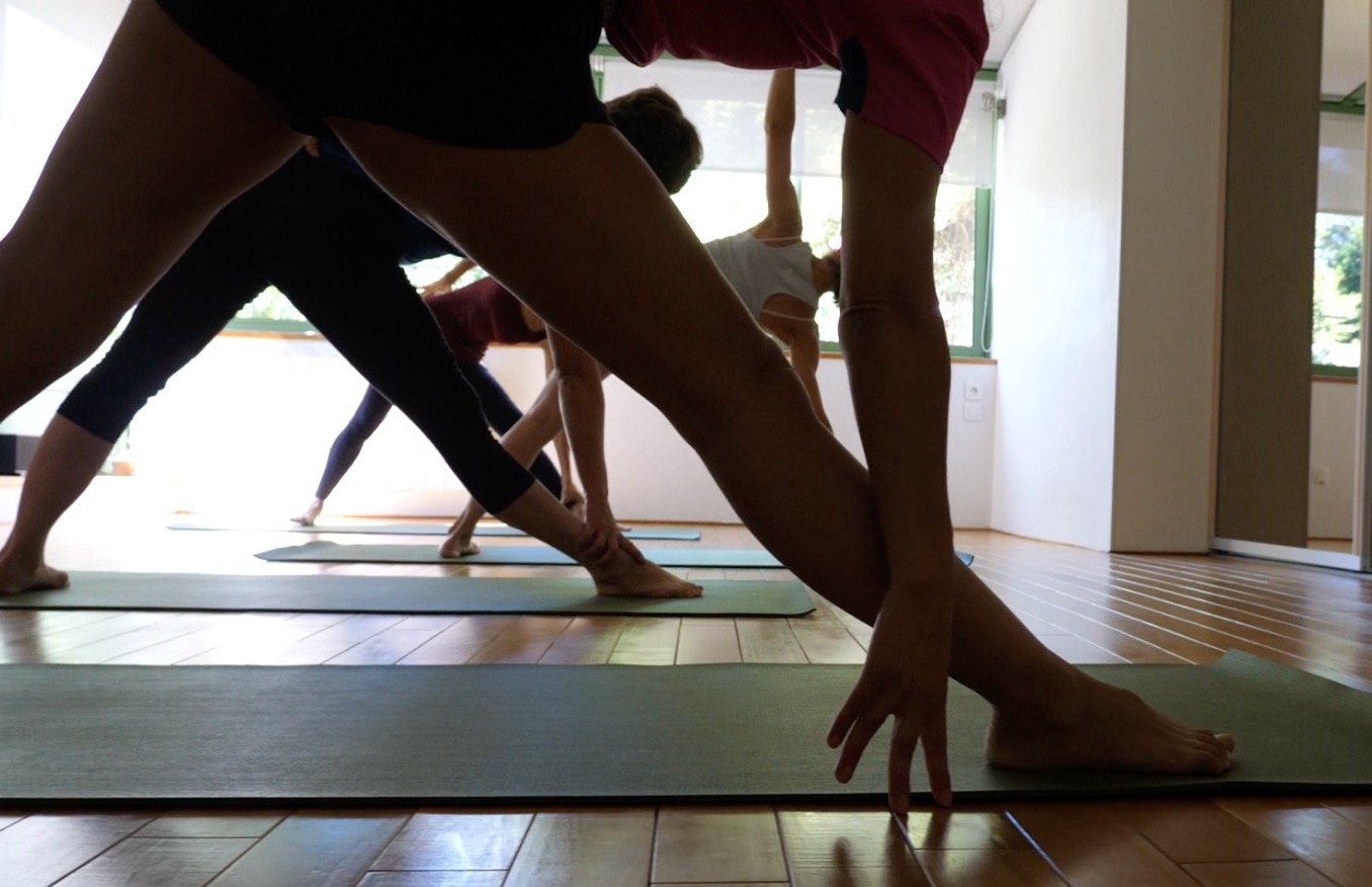 11 u trikonasana d 2